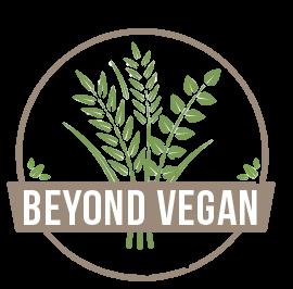 Beyond Vegan Eats Los Angeles